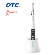 Endo Motor C-Smart COXO