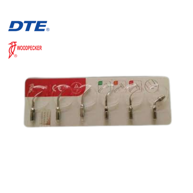 Puntas para Cavitador electrico Woodpecker x 5 Ud