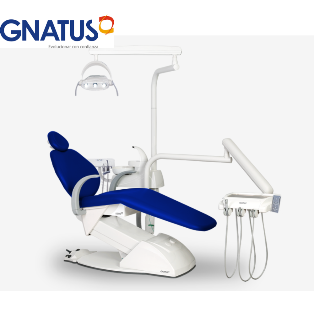 Sillon S 300 COLGANTE Gnatus