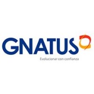 Gnatus