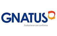 Gnatus